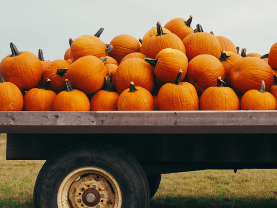 Pumpkin Truck